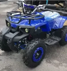 Квадроцикл электрический ATV (игрушка) Motoland E008 800Вт - фото