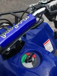 Квадроцикл электрический ATV (игрушка) Motoland E008 800Вт - фото2